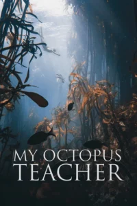 My Octopus Teacher Christian Review