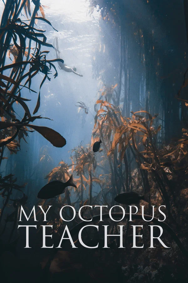 My Octopus Teacher Christian Review