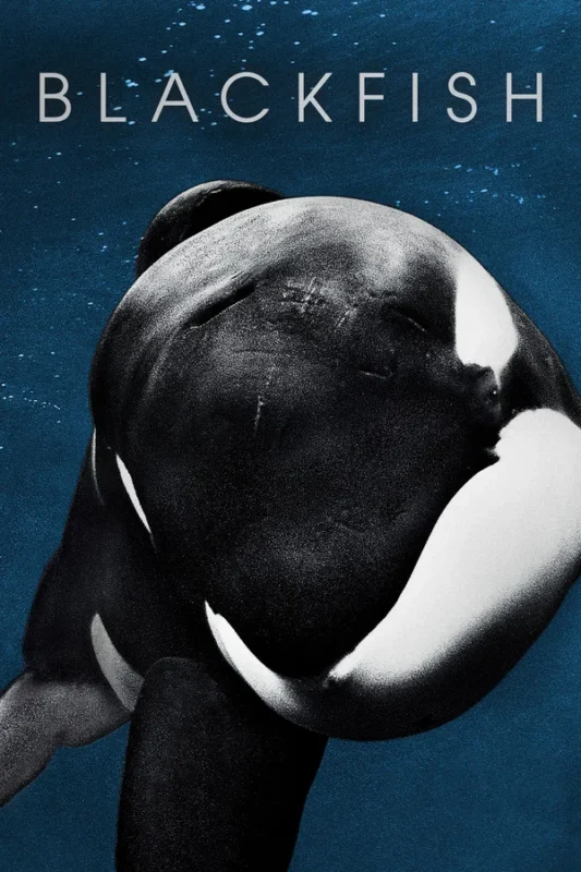 Blackfish: Creation Care, Human Greed, and Biblical Stewardship