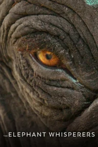 The Elephant Whisperers Christian Review