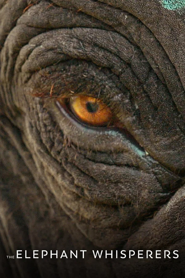 The Elephant Whisperers: Gentle Care for Creation and the Love of Stewardship