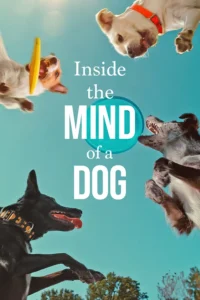Inside the Mind of a Dog Christian Review